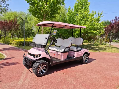 Foreign Trade Cross-Border Golf Elektrikli qolf avtomobilləri - double-row-4-seats-48v-60v-72v