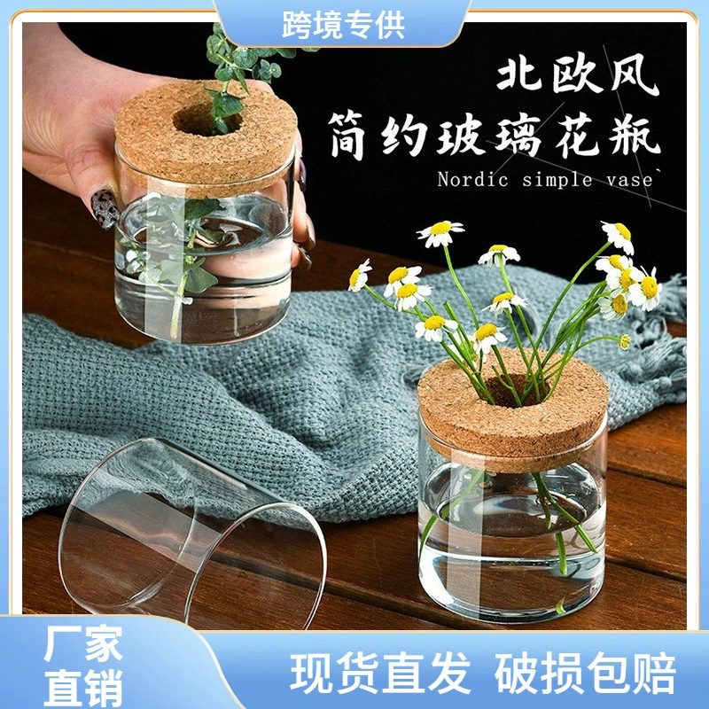 Креативная стеклянная ваза, гидропонная банка для растений, многофункциональная банка для хранения, цветы потоса, простая экологическая стеклянная бутылка для зеленых растений.