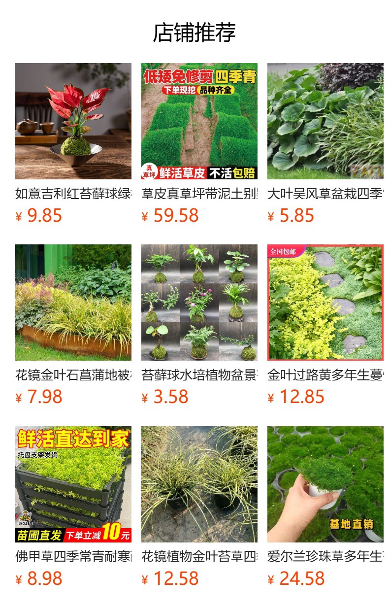 详情图