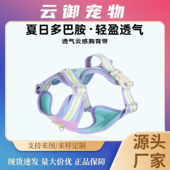 狗狗胸背带轻便撞色宠物胸背透气溜狗绳中小型犬柯基比熊胸背带