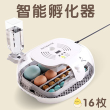 WONEGG新品16枚家用鸡蛋孵蛋器小鸡孵化养殖设备孵化器鹌鹑孵化机