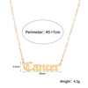 Universal zodiac signs stainless steel, fashionable necklace, European style, simple and elegant design