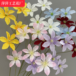 �¿�5�^�F��ɏ ��c���滨��Y�û��žƵ겼���ٻ��ҾӔ[�O����