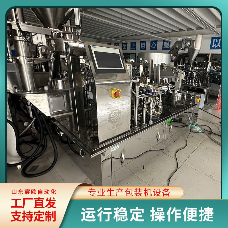 宸欧瓜子称重定量包装机 全自动上料给袋式坚果颗粒包装机械设备