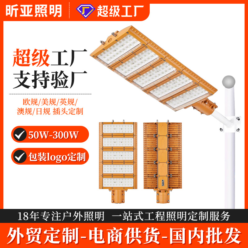 跨境专属led防爆灯路灯工厂道路厂房照明仓库加油站户外防水路灯