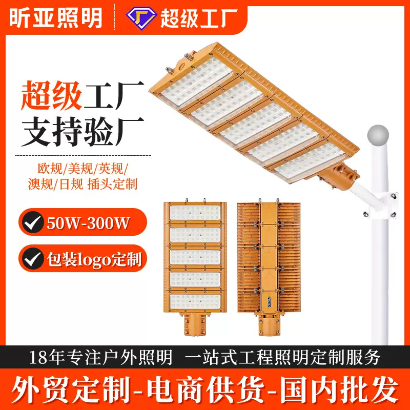 跨境专属led防爆灯路灯工厂道路厂房照明仓库加油站户外防水路灯