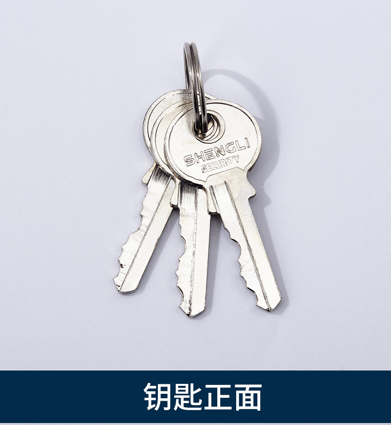 Pujiang factory direct sales thick type Shengli chrome-plated lock with waterproof ring copper core padlock warehouse door lock head pic 12