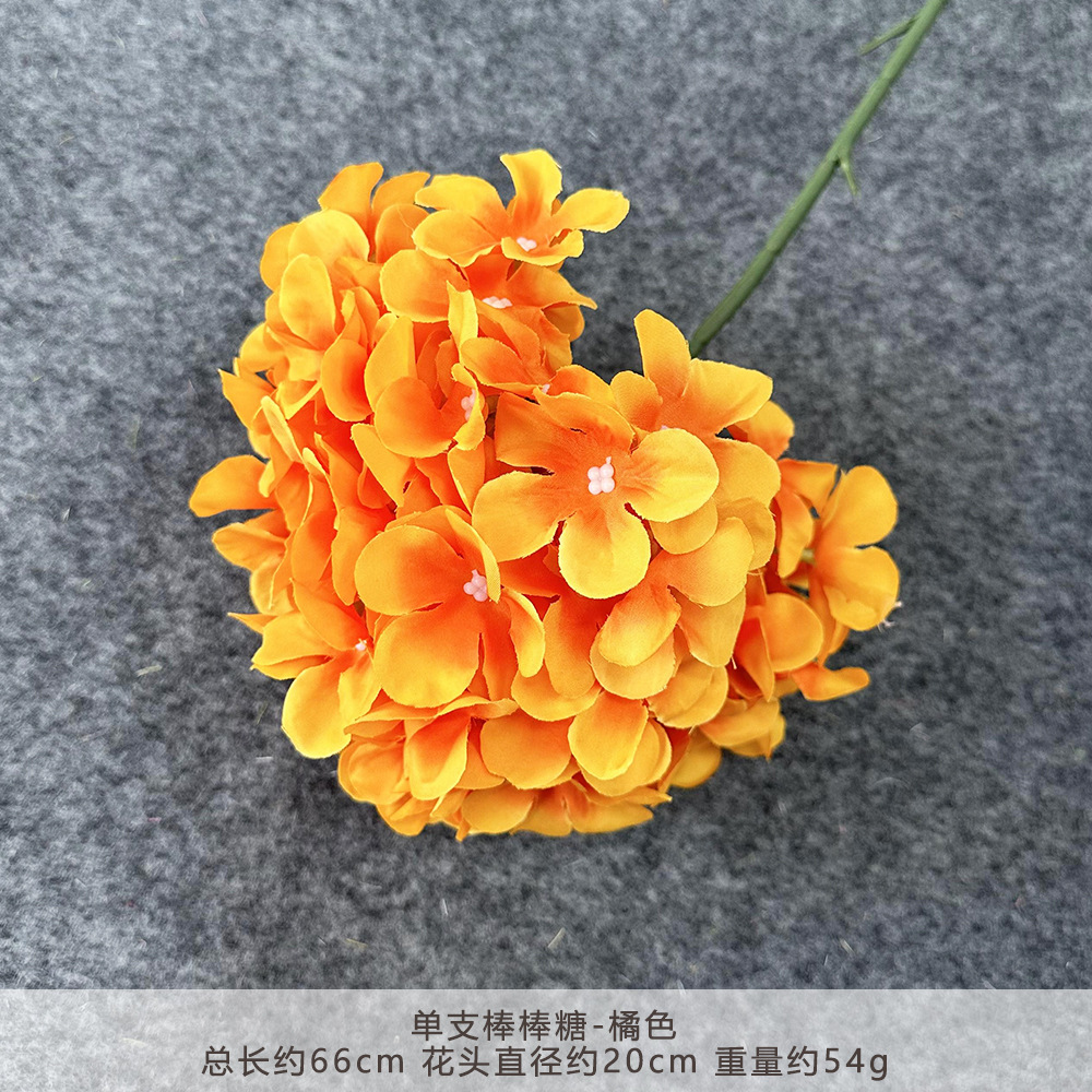 MM-Single Lollipop-Orange
