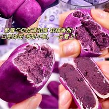 �����������o�����ǂ��y���c������͵��pʳ��𒿨֬�ּZ���l