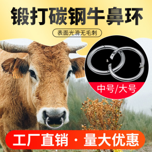 ����ţ�ǭh�F�ý���ţ�ǭhţ��Ȧ˩ţȦţ���Ӡ�������