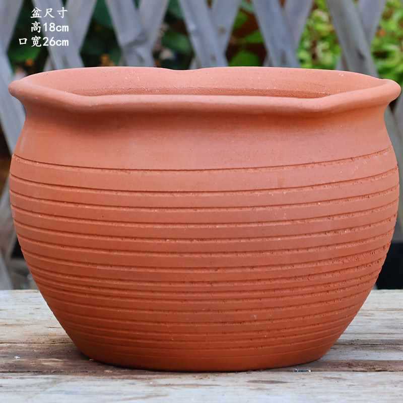 大口径グリーンダルシム多肉植物オオバコ紫大万百クリエイティブ陶器ポット粗い陶器砂土陶器ポット植木鉢大型レトロ|undefined