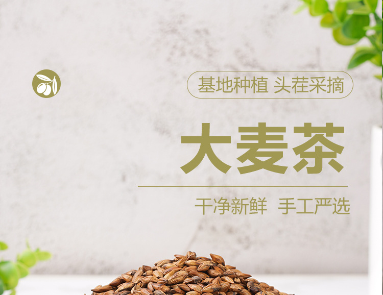 Roasted Barley Tea (Hordeum vulgare) — Original Flavor, Medium-Roast, 220g Jar, No-Brew Needed key features