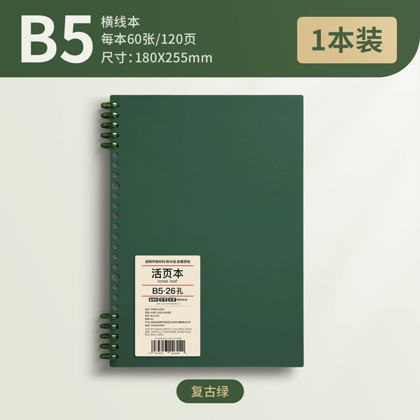 B5•1 book•Vintage green 120 pages per book