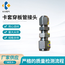 304ֱͨ^^״ܽ^8MMݼyzܷP304