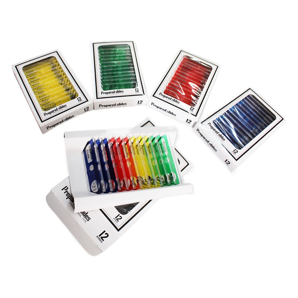 Детский микроскоп для животных и растений, насекомые, полный набор образцов, игрушечных аксессуаров для научных экспериментов