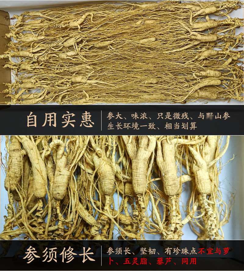 Wild Forest Mountain Ginseng Imperfect Dried Root Slices for Soup and Wine 10g Jilin key features