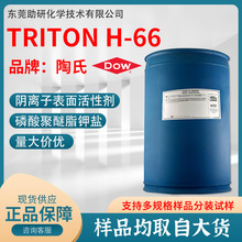 TRITON H-66 }ˮܵݱԄ܄黯