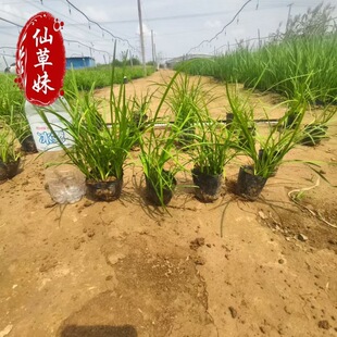 ���������ݻ������l �����籭�繤�̾G���@����ľ�����ر�ֲ��