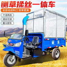 Ӹo݆܇d厲܇BֳzCJȔն厶C