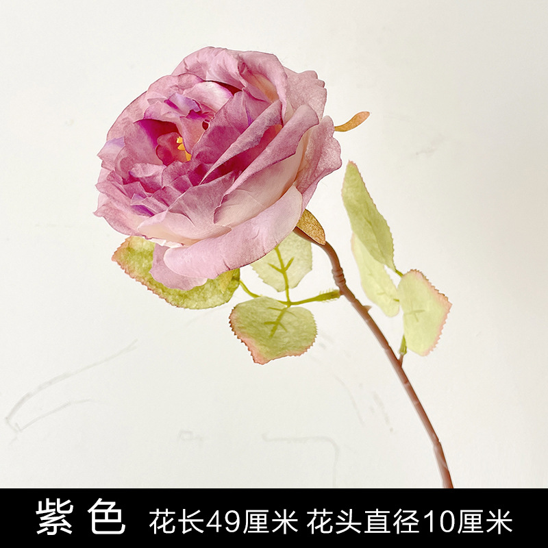 보라