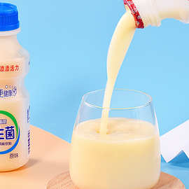 果粒奶昔酸奶饮品酸牛奶饮料早餐脱脂益生菌乳酸菌整箱批