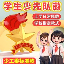 少先队队徽别针标准版强磁扣磁吸式小学生中国少年队员先锋队徽章