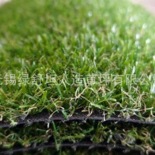 ���������ƺ/3Ӣ��*10Ӣ��/�񌍼ٲ݌��ﹷ�|/����ˮ���ܷ����