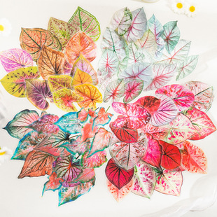 ���õ�һ�� �����~����ϵ�� �����ɫ�~�����~diy�쾰�ز��N����6