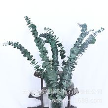 ����������ȼ����~ͩ�X������~�����ȼ����Ҿ��b���1��10֧