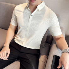 FW483 2024����ʽ�Ứ�޺�V��polo����������t��������