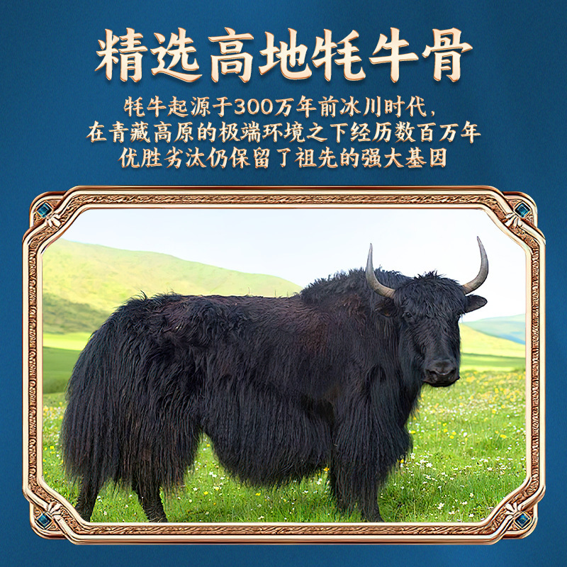 ヤク骨髄ペプチド粉末栄養プロテインパウダーOEMカスタム高カルシウム無糖プロテインパウダー工場卸売配送|undefined
