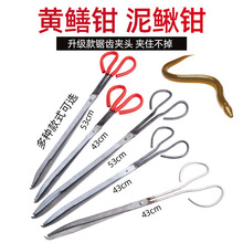 �S�X�A׽���qץ�X�~�з�Q�ӊA�߭h�lʰ�������A�Ӽ��L�h�Q������