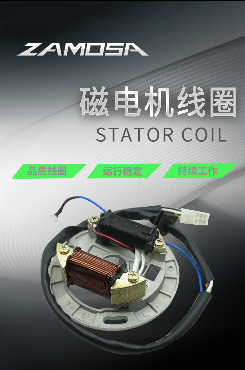 Motorcycle Magneto Coil Motorcycle Stator Motorcycle Electrical Devices FR80 AX100 2 COIL Manufacturers