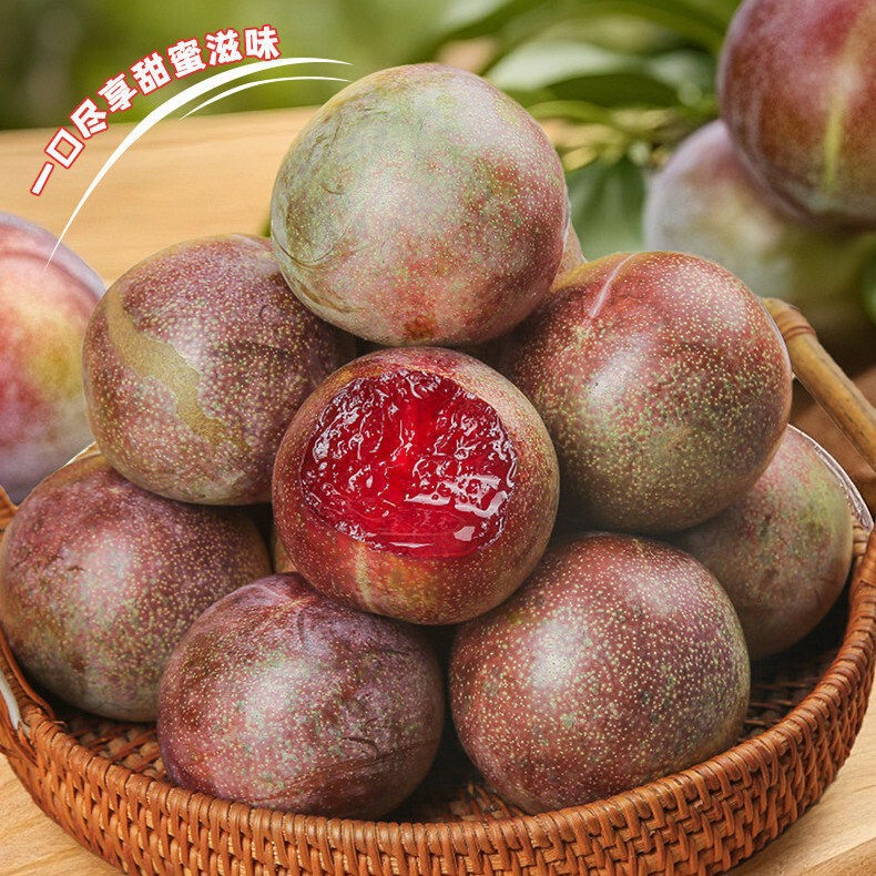 Authentic Xinjiang Dinosaur Egg plums, freshly picked during the season, red-fleshed plums, a fruit suitable for pregnant women, available for drop shipping Authentic Xinjiang Dinosaur Egg plums, freshly picked during the season, red-fleshed plums, a fruit suitable for pregnant women, available for drop shipping