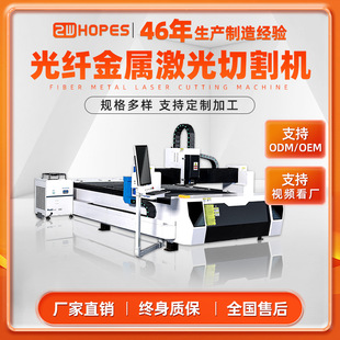 Laser Cutting Machine Single Platform Stainless Steel Carbon Steel Metal Sheet Fiber Laser Plate Cutting Machine Processing Custom