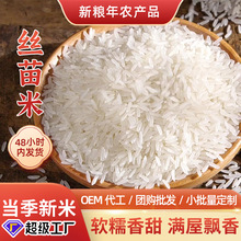 丝苗米真空装散装超长粒香米月牙米50斤正宗大米产地批发真空包装