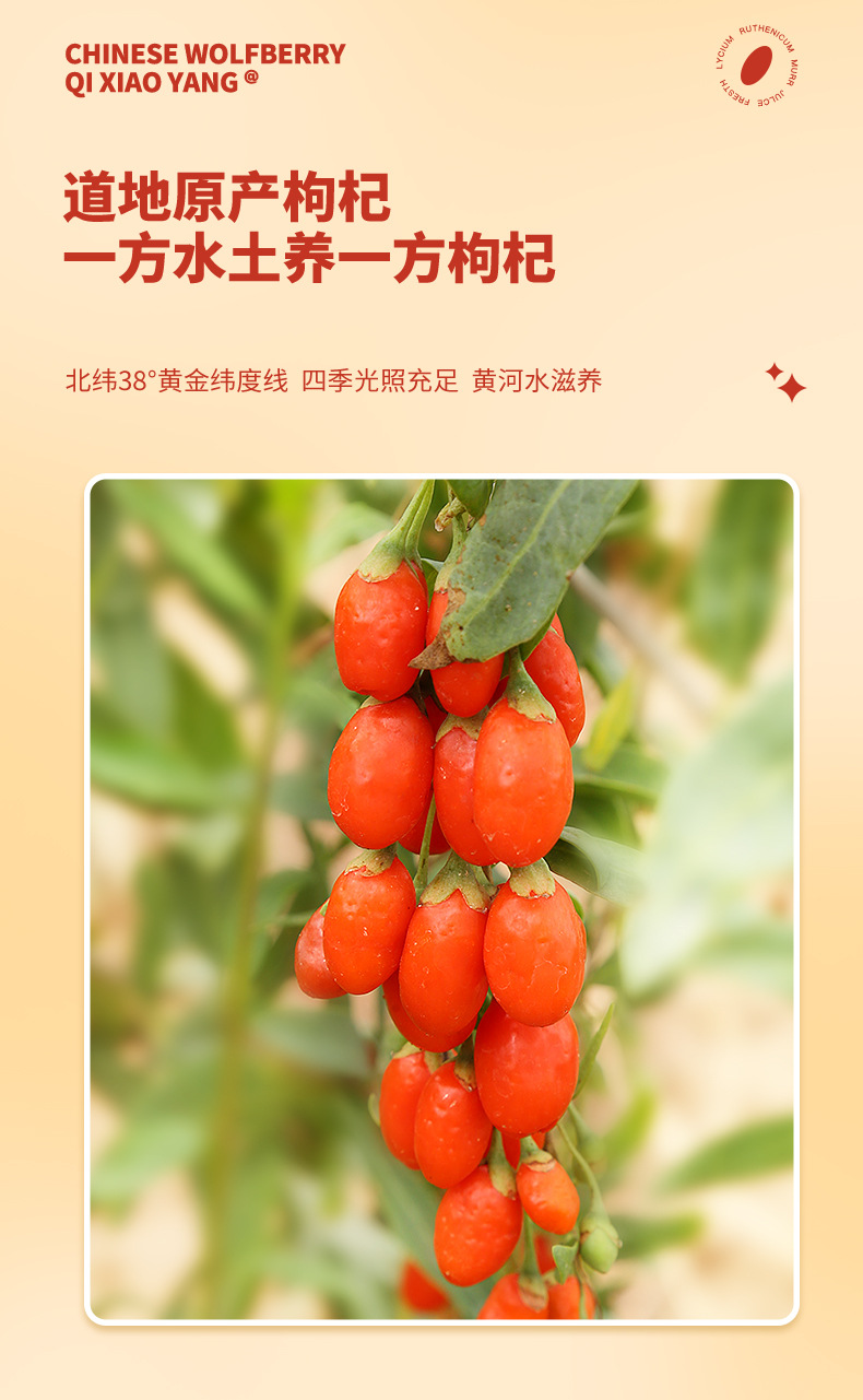 Dried Goji Berries First Harvest Ningxia Gou Qi Zi Premium Grade 180g Individually Packed in use