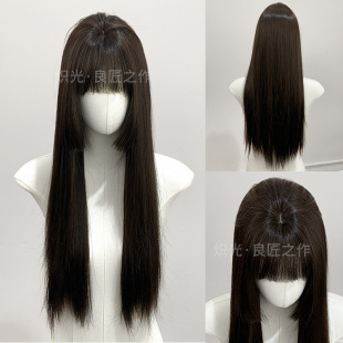 Blazing Wigs Princess Cut Women's Long Hair Straight Hair Black Tea Daily Fashion Natural Realistic Full Head Cover Wholesale Cross-border