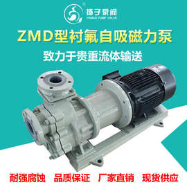 自吸式磁力泵 耐腐蚀磁力泵 32ZMD-25F 可替代进口泵 配防爆电机