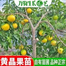 �S�������綬�۾����ļ��׽�һ̖�S����޽�����̨�����F������