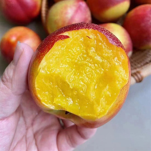 ��֦��©���S���������r�ЋDˮ�����������S�����������S�Ĵ���