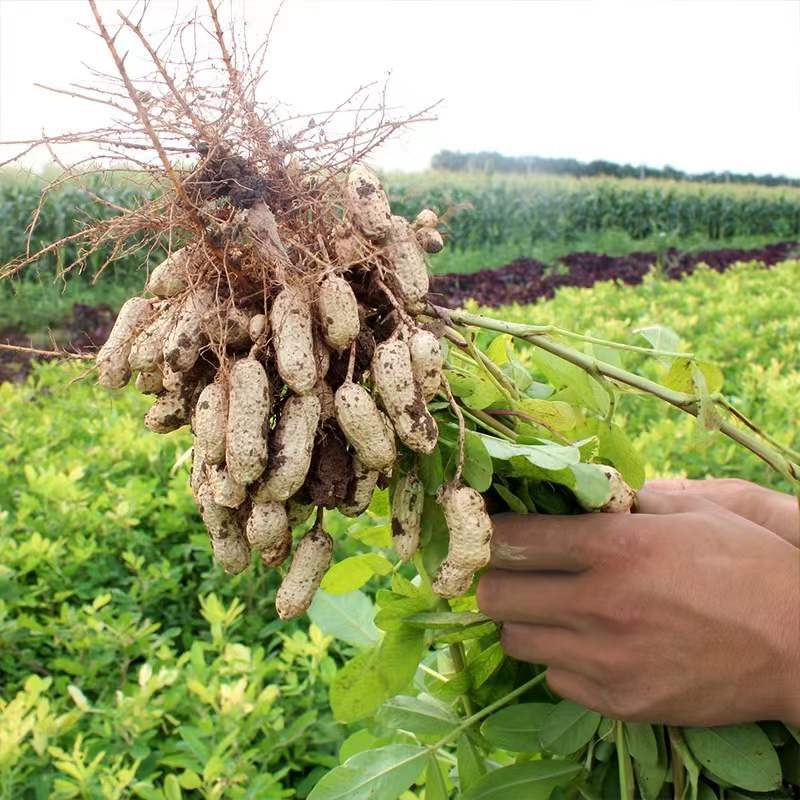 微信图片_20220512211855