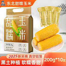 2025��؛�|���SŴ���װ�10֧���r�|���ճ���״����֬��ͷǼ�ʳ