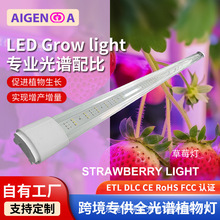 全光谱LED草莓灯植物生长灯瓜果蔬菜种植大棚种植补光灯水培灯管