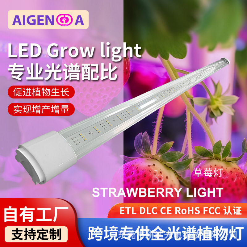 全光谱LED草莓灯植物生长灯瓜果蔬菜种植大棚种植补光灯水培灯管