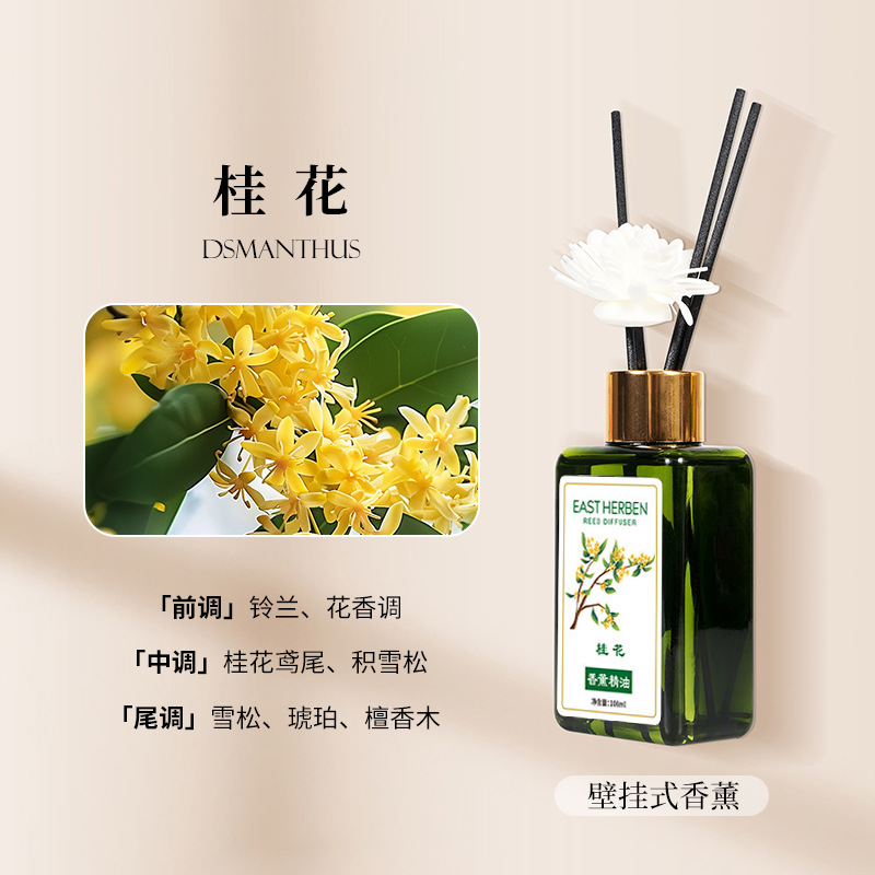 ⑤오스만투스(등나무+등나무꽃 보내기)