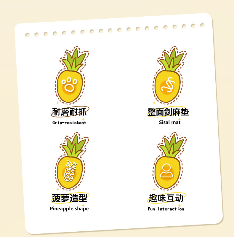 菠萝剑麻盆_02.jpg