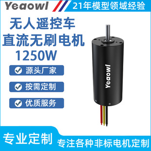 Brushless Motor Customized Hull Cleaning Device High Torque Ship Model Propeller Sprayer Water Pump High Power Motor