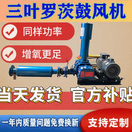 三叶罗茨鼓风机原厂现货售后保障水产养殖脱硫脱硝耐腐蚀罗茨风机
