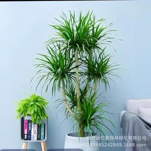 ���^��Ѫ��������횘������k���҃���͏d�p�ӆ��w��լ��ĳȩ�՚�